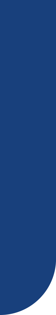 https://royalcomputerinstitute.com/wp-content/uploads/2020/04/bgn-slider-blue-corner-left.png